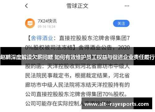 赵鹏深度解读欠薪问题 如何有效维护员工权益与促进企业责任履行